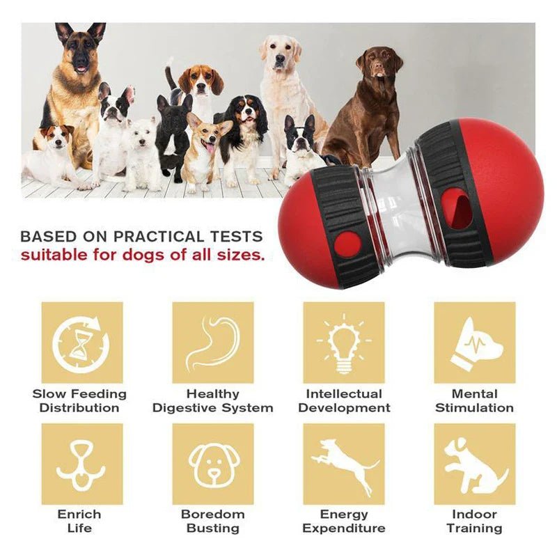 Smart Pet Playmate Toy - fidotoy