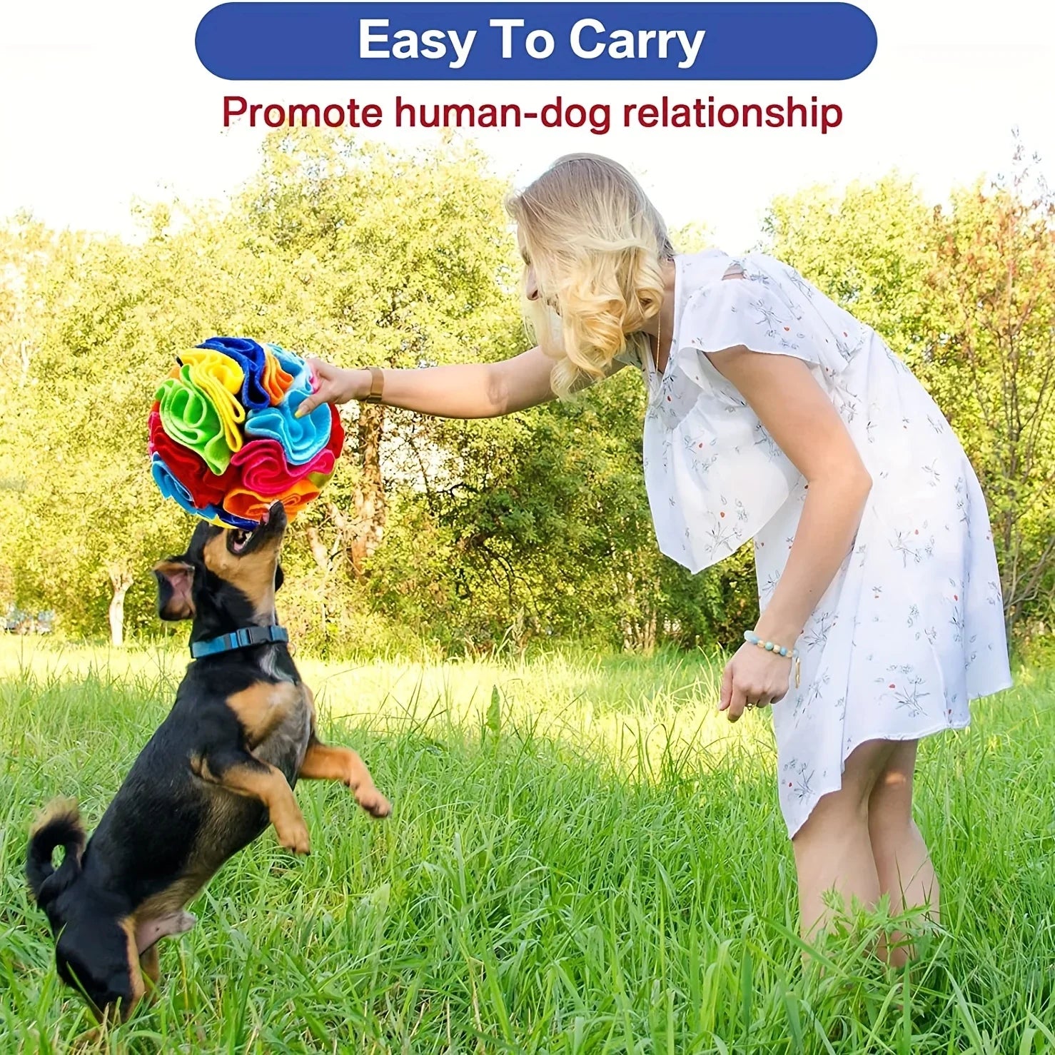 Snuffle Ball Treat Puzzle for Dogs - fidotoy