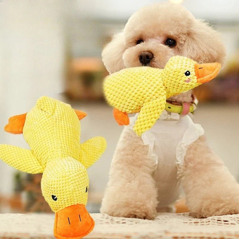 Snuggle Buddy Duck Toy - fidotoy