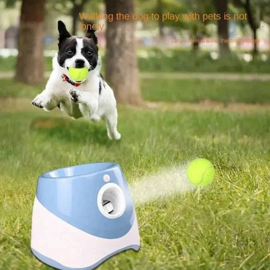 Fetch Fun Automatic Launcher - fidotoy